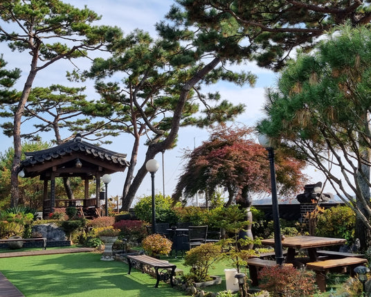 Park in Korea
