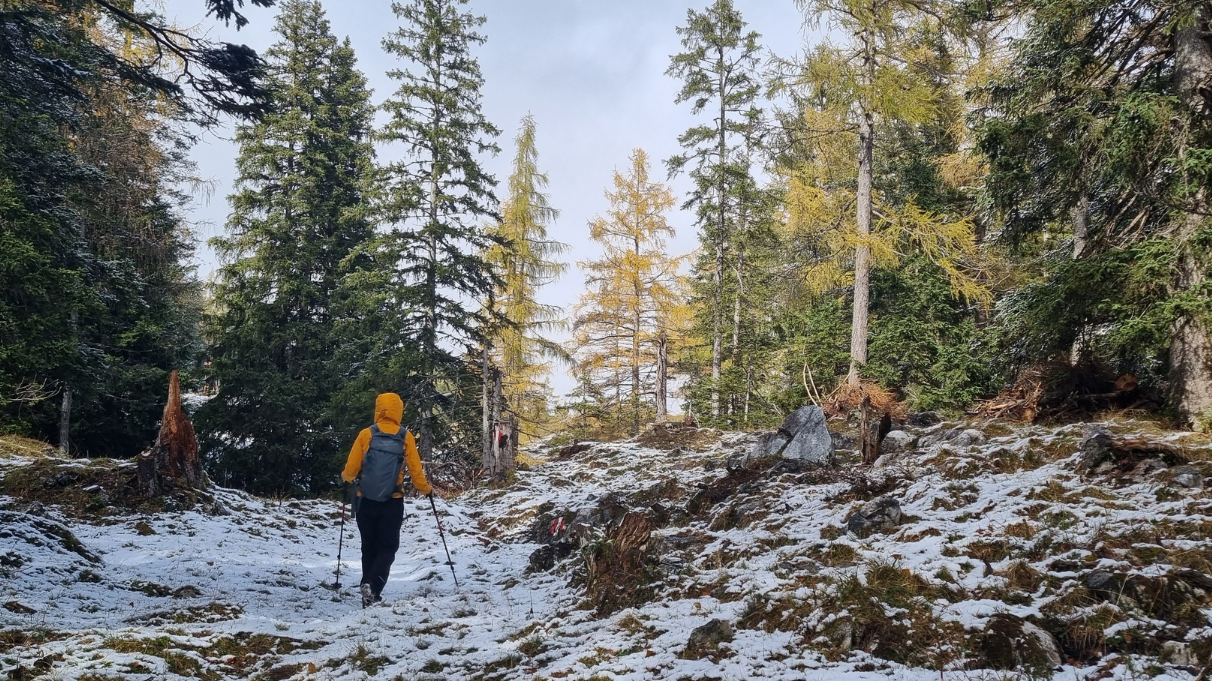 Sicher wandern im Herbst: Mehr Grip und Trittsicherheit mit snowline Spikes