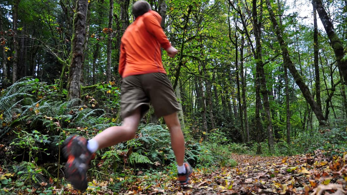 Sicher durch Laub & Eis – snowline Spikes im Trailrunning-Check