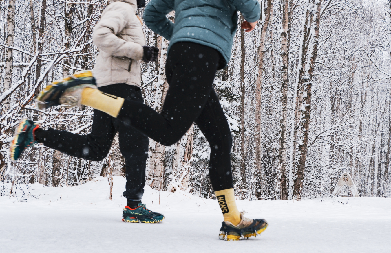snowline Spikes Run Winter